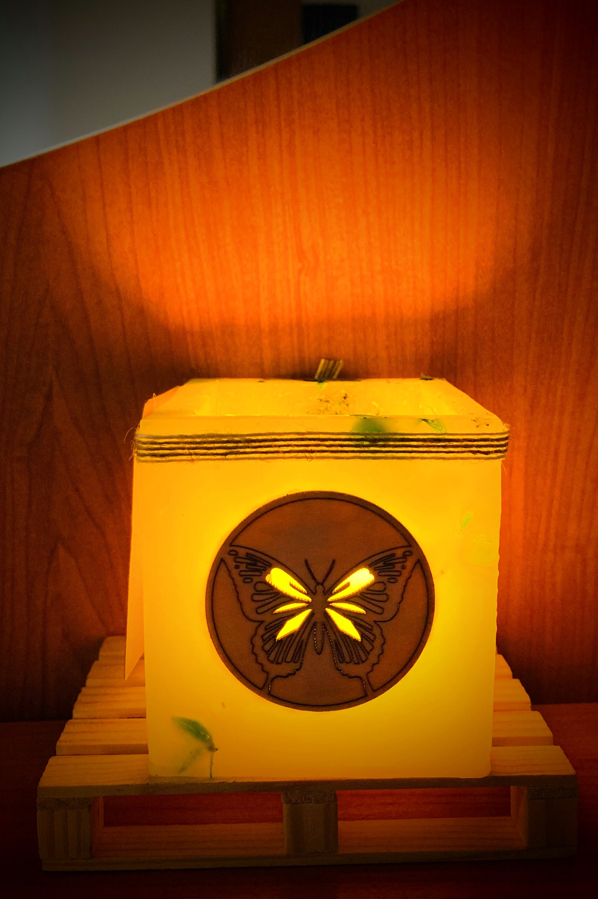 fanal de mariposa, vela hueca, lilinnight