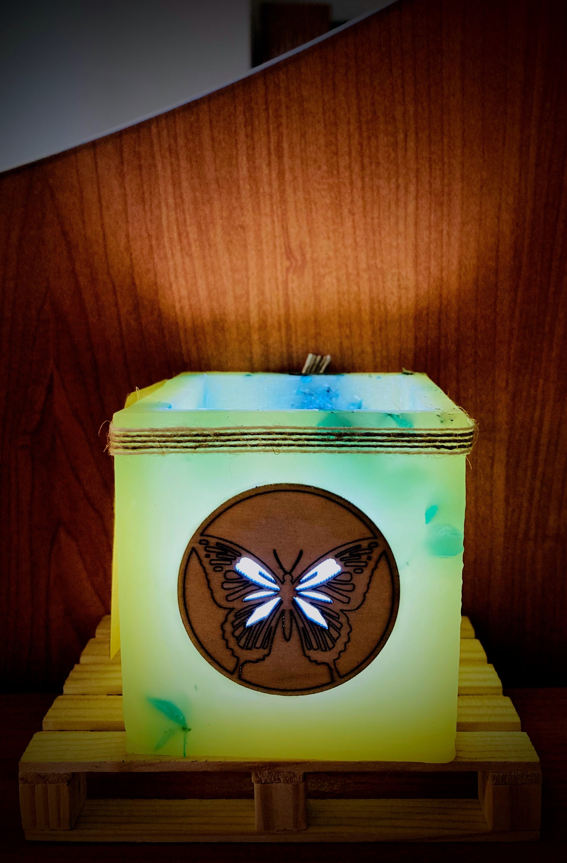 fanal de mariposa, vela hueca, lilinnight