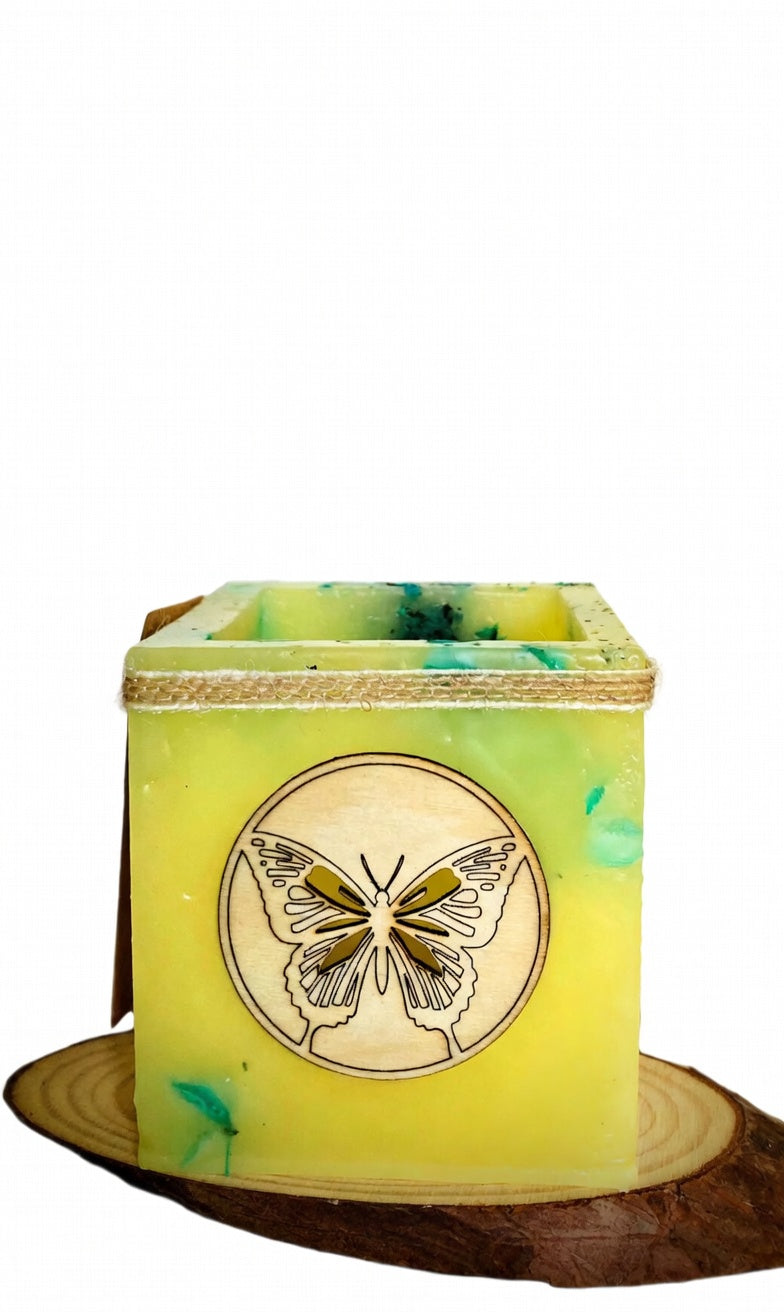 fanal de cera, mariposa, lilinnight