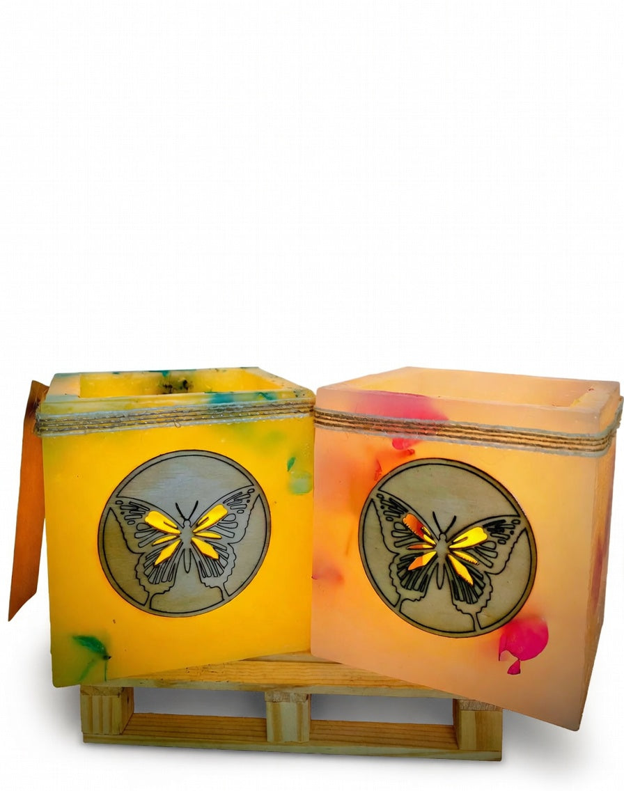 vela hueca mariposa, lilinnight