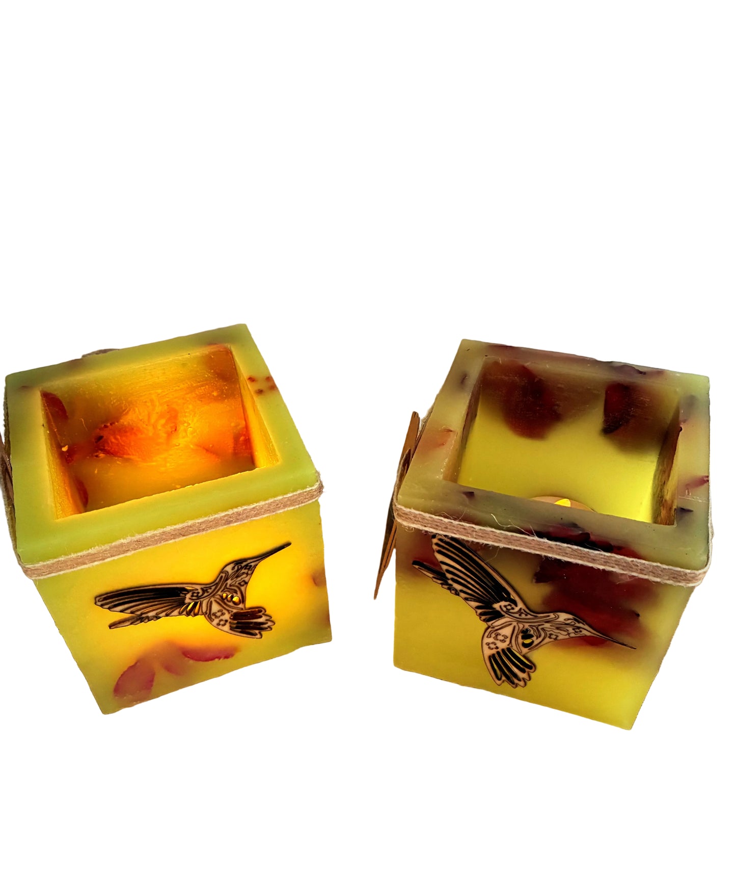 fanal de cera-vela hueca-colibris-fanales de cera-pantallas de cera-lilinnight